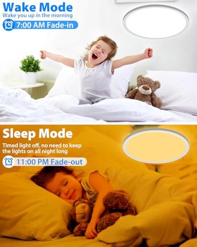 Peasur Smart RGB LED Ceiling Light - 24W Dimmable Flushmount Fixture