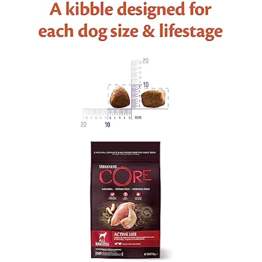 Wellness CORE Grain-Free Active Life Chicken & Turkey Dry Dog Food - 10kg
