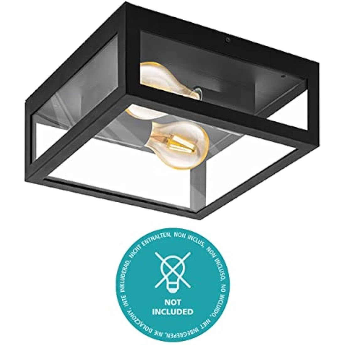 Eglo Alamonte 1 Outdoor Ceiling Light – Black Steel & Glass IP44
