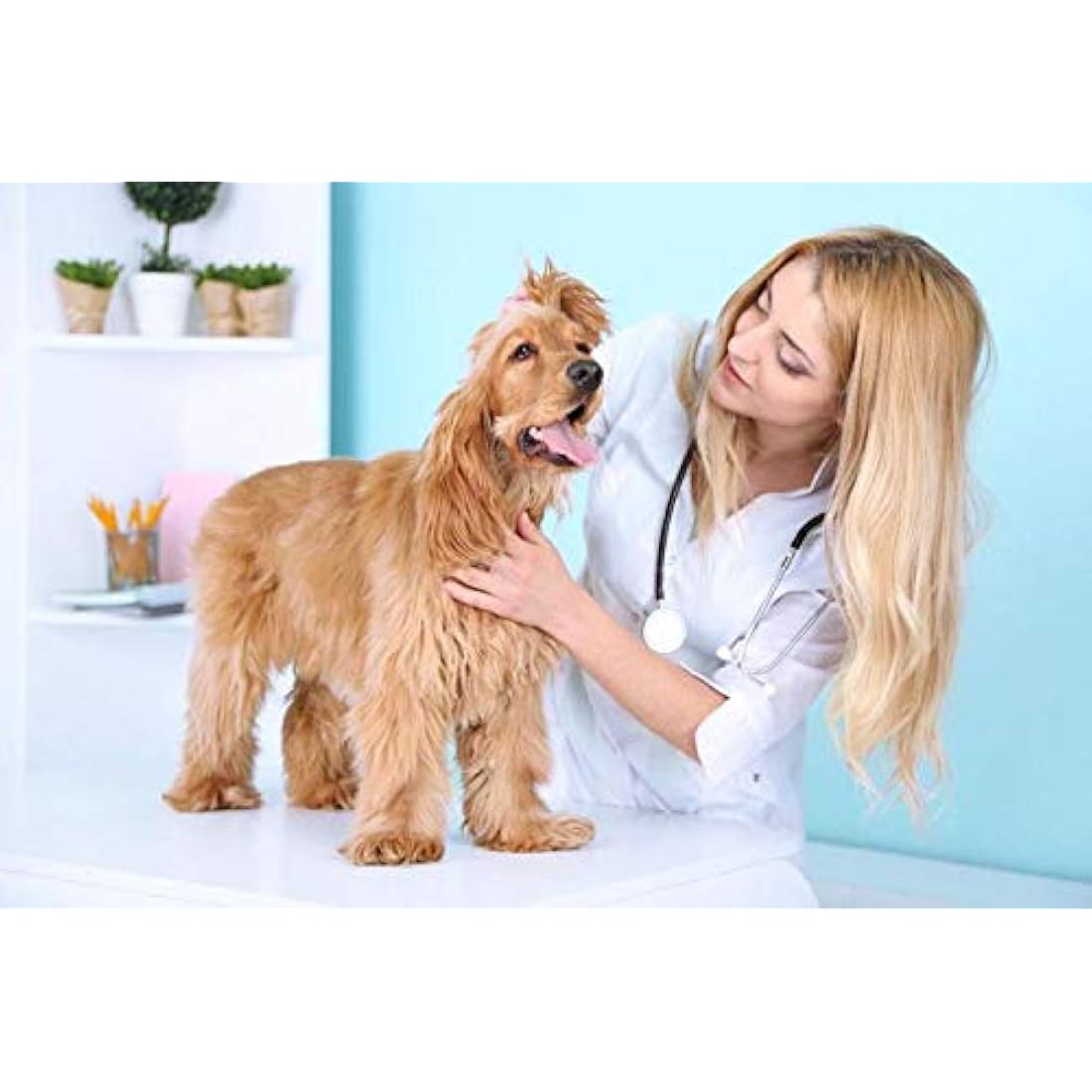 Puppy and Kitten Whelping Kit with Feeding Nipple Bottle