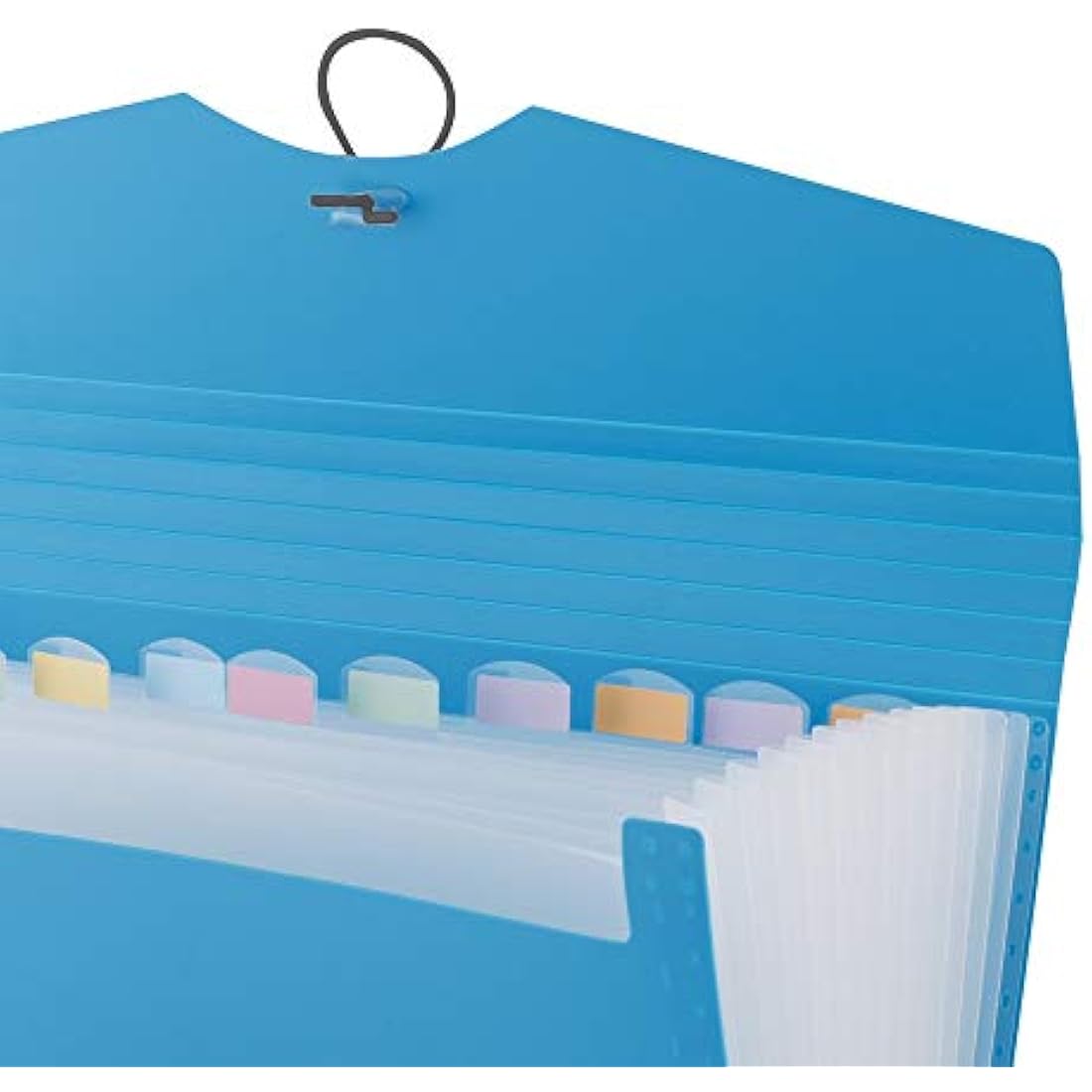 D.RECT A4 Expanding File Folder | 12-Pocket Document Organiser - Blue