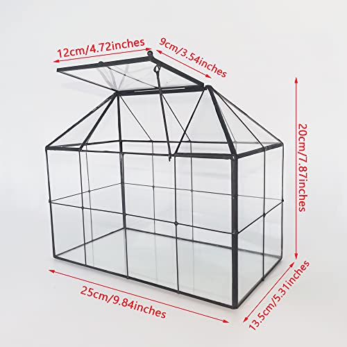 NCYP Geometric Glass Terrarium – House Shape Indoor Succulent Planter