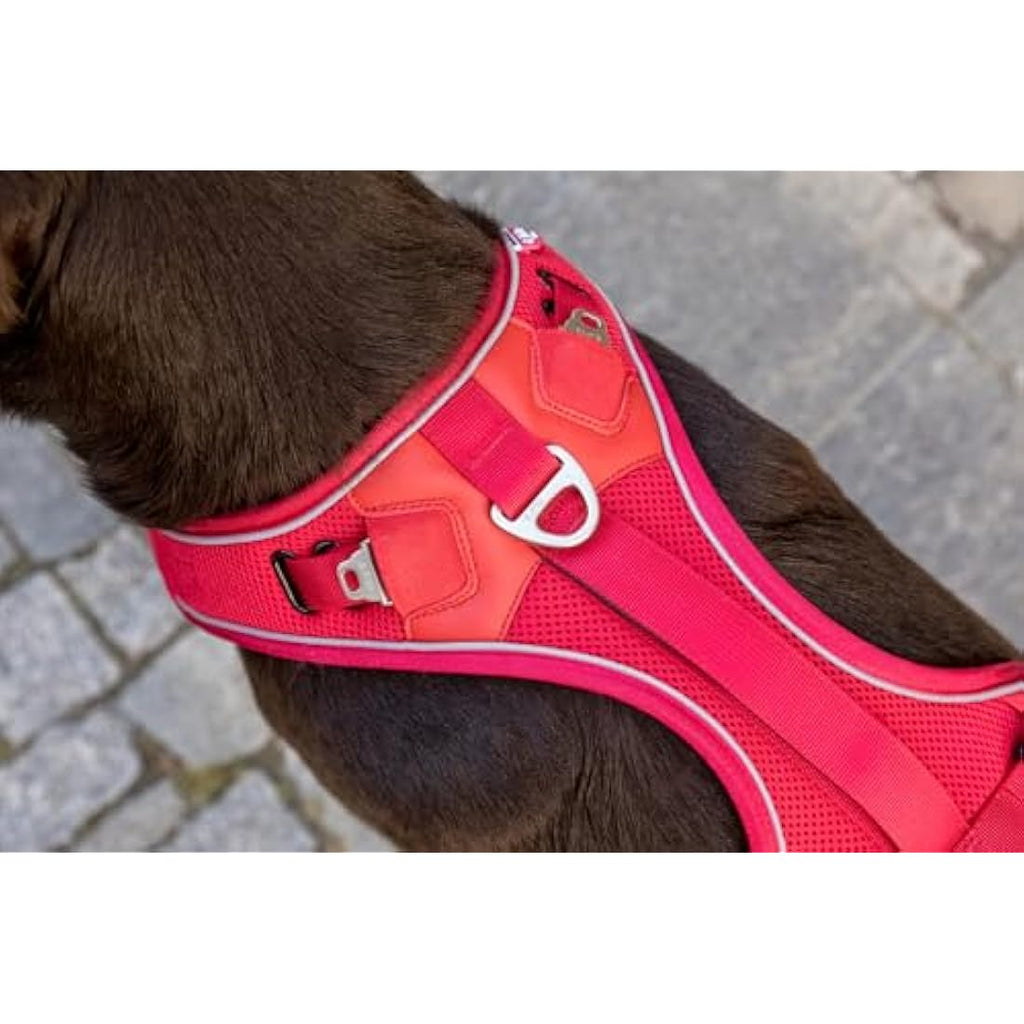 Curli Belka Adjustable Dog Safety Harness – Brown – Size S