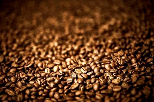 NESCAFÉ Espresso Instant Coffee | 100% Arabica Rich Crema | 95g (6 Pack)