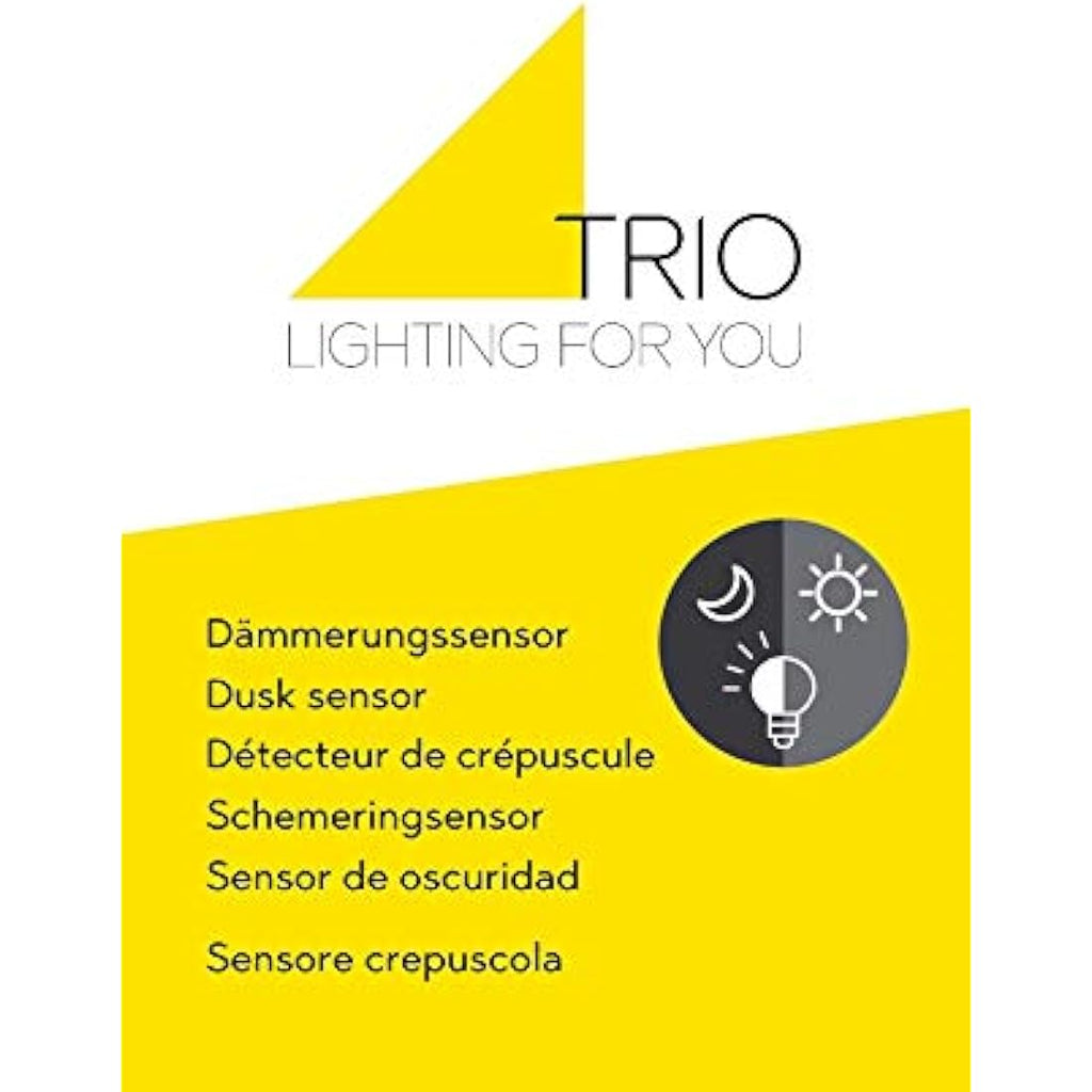 Trio Leuchten Sambesi Outdoor Wall Light – Black Aluminium & Acrylic