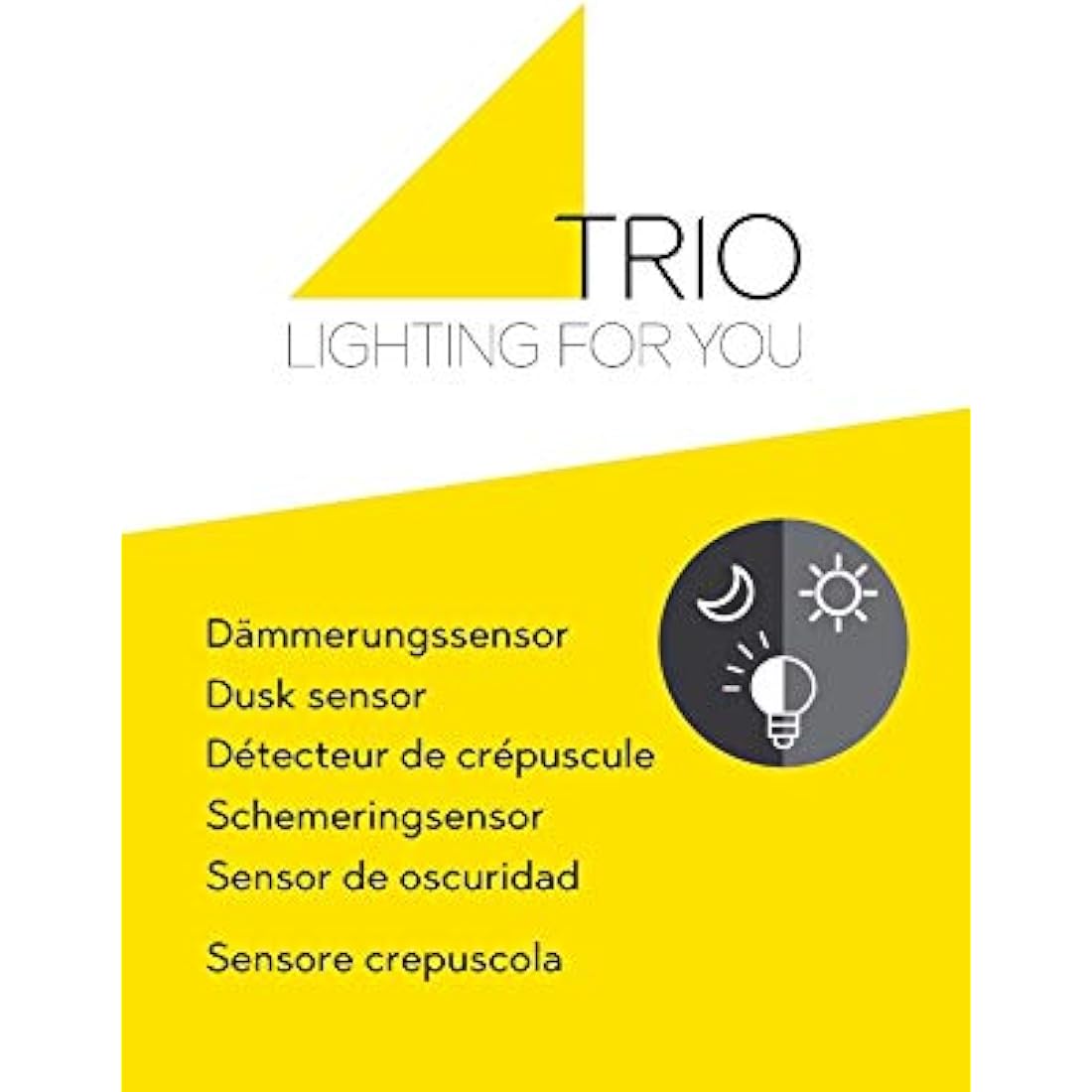 Trio Leuchten Sambesi Outdoor Wall Light – Black Aluminium & Acrylic