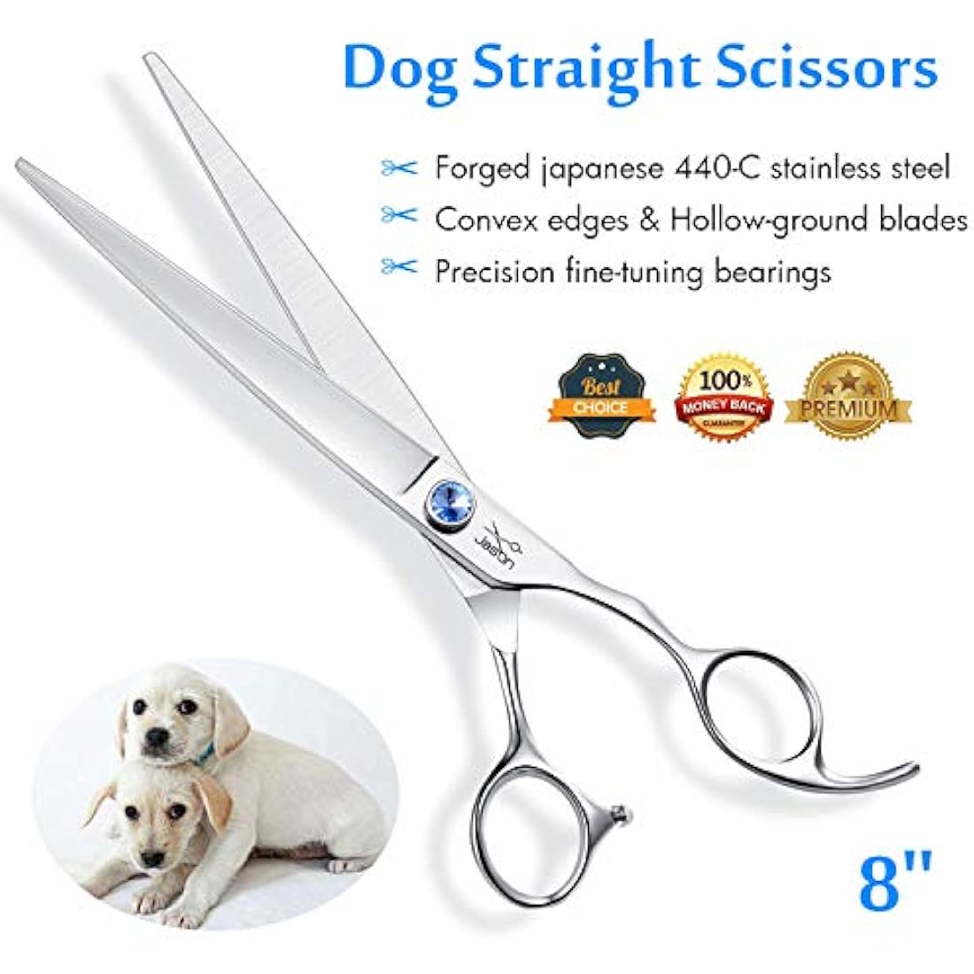 JASON 8" Straight Dog Grooming Scissors | Japanese Stainless Steel