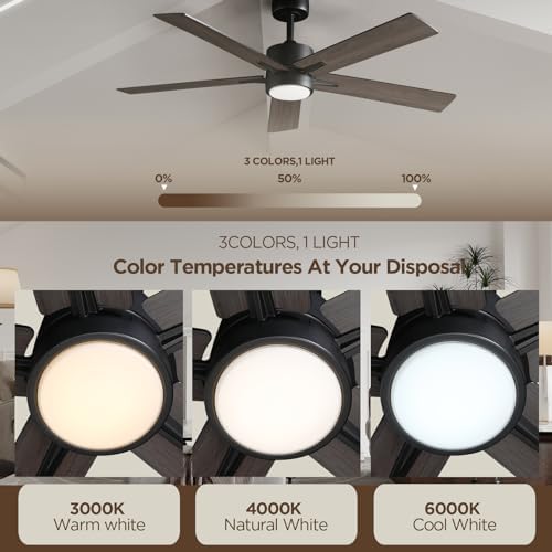Vagizm 52" Ceiling Fan with Light – Silent DC Motor & Remote Control