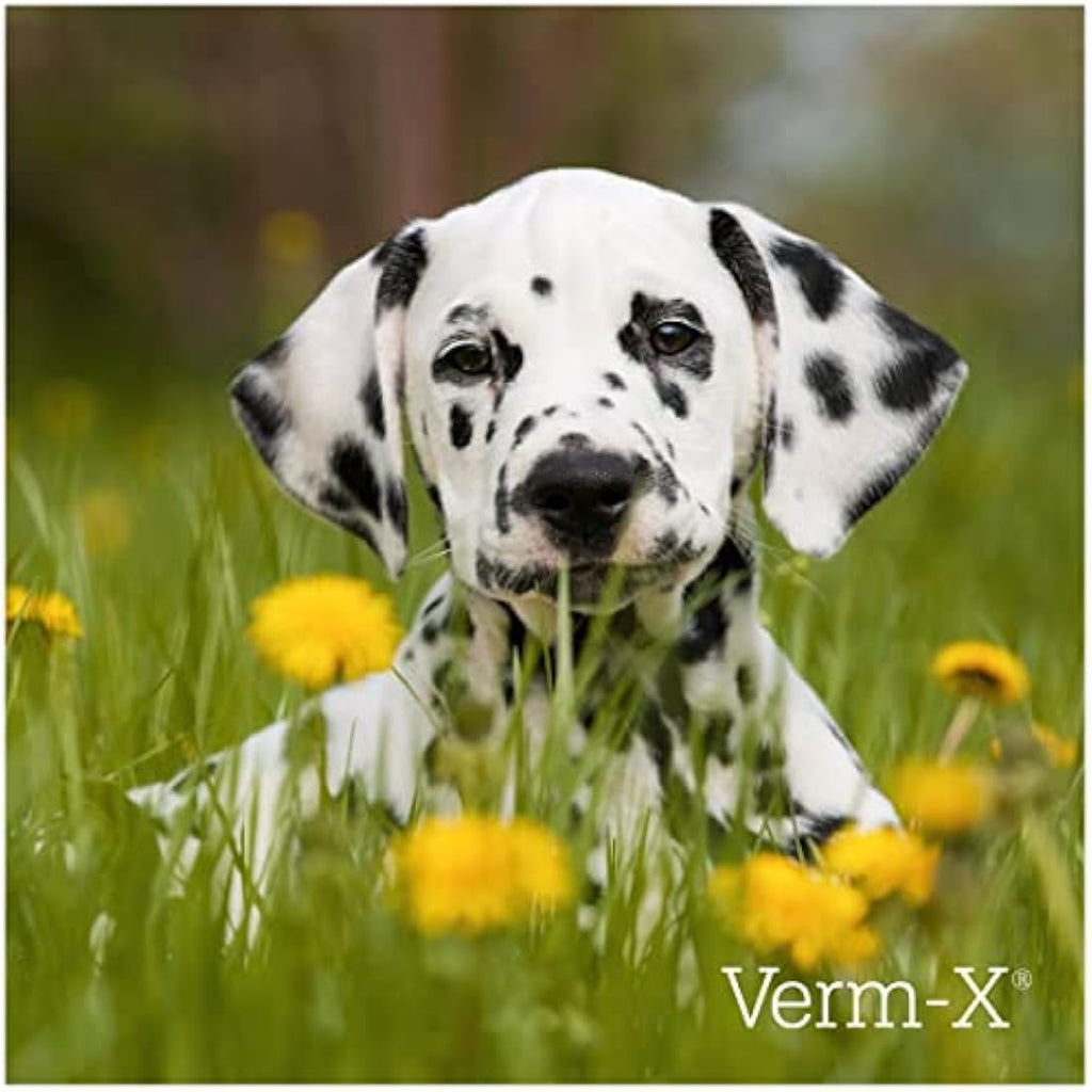 Verm-X All Natural Liquid for Dogs | Intestinal Hygiene & Gut Vitality