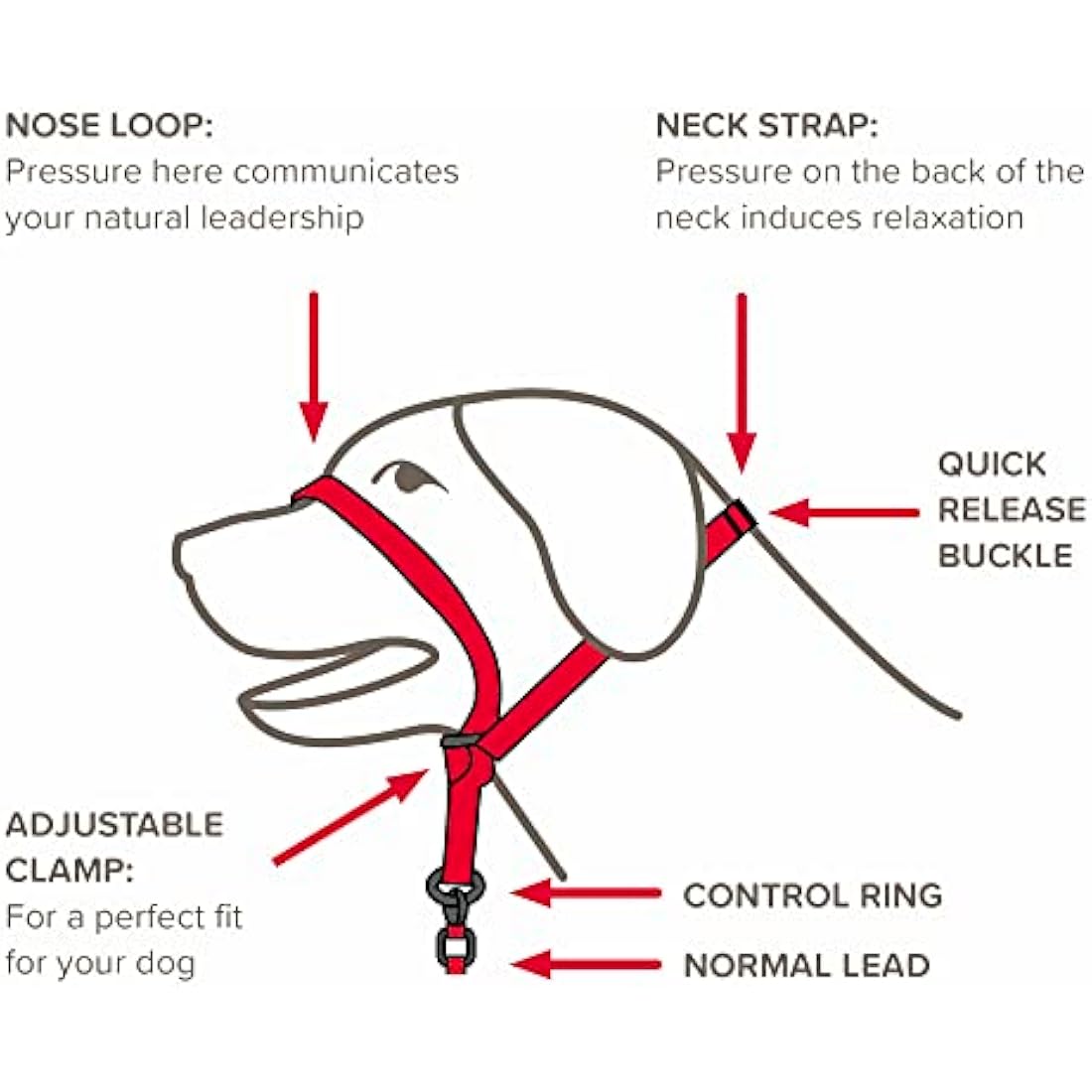 Beaphar Gentle Leader Head Collar – Medium Dog No-Pull Training Aid, Black