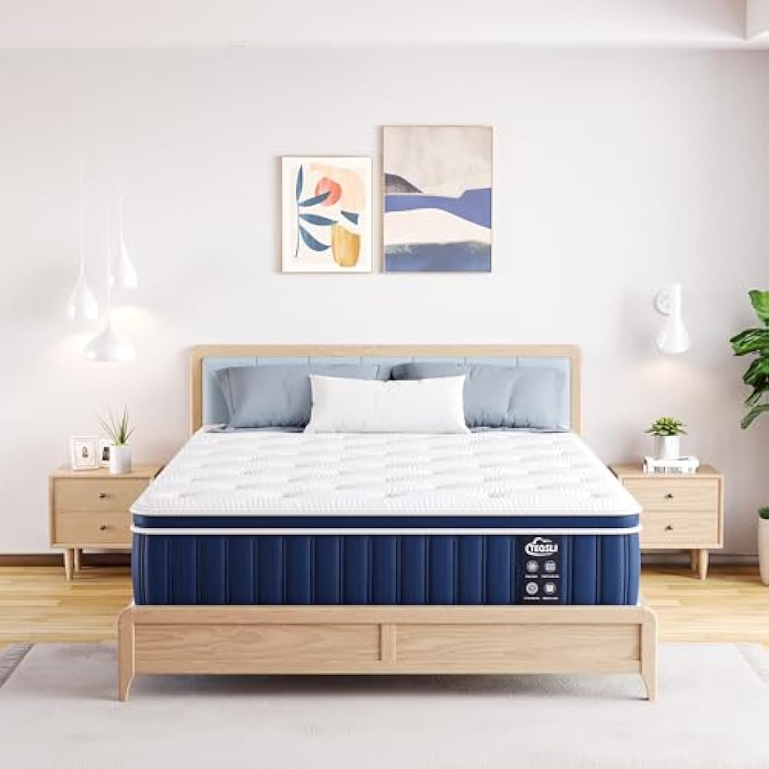 TeQsli 3FT Single Hybrid Mattress | 9-Zone Orthopedic Memory Foam & Sprung