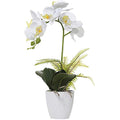 Artificial White Orchid – 17" Potted Faux Phalaenopsis Bonsai