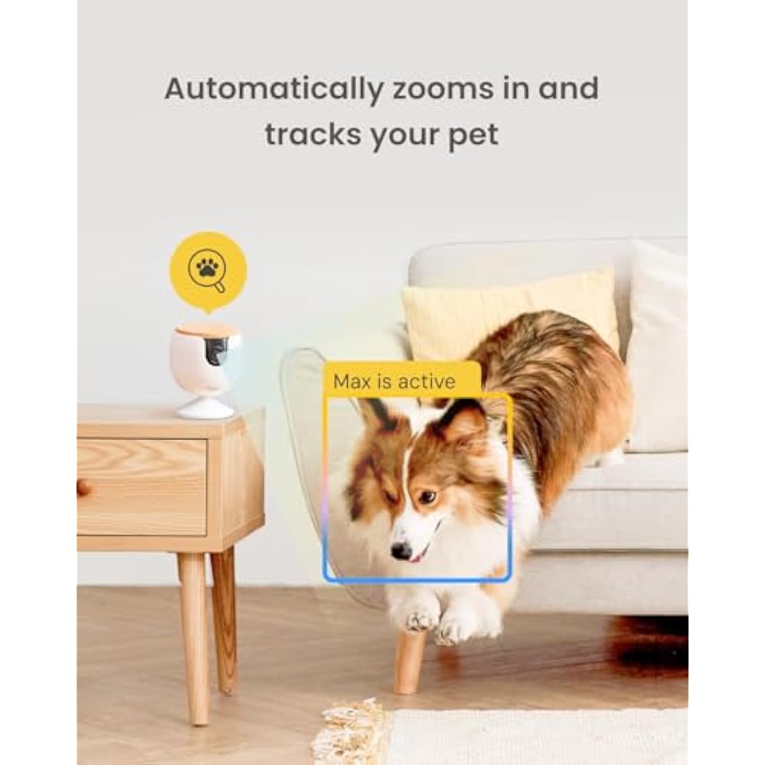 Furbo Mini Pet Camera – 1080p HD Indoor Dog & Cat Monitor with Audio