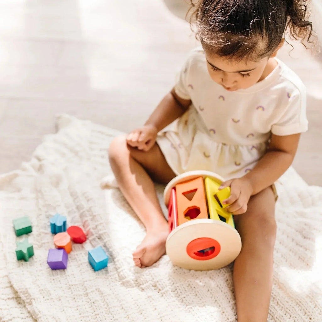 Melissa & Doug Match & Roll Wooden Shape Sorter