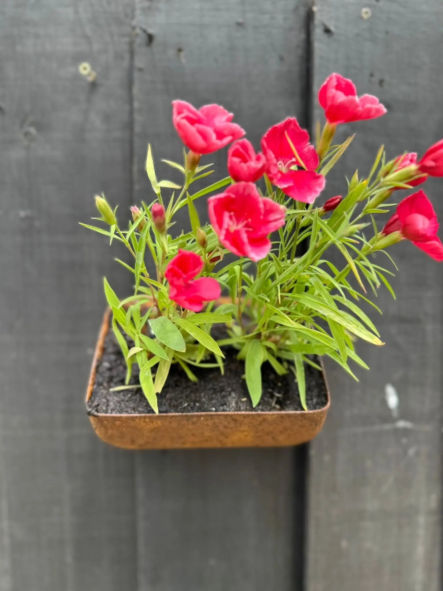 Rustic Warehouse Norfolk | Vintage Industrial Metal Wall Herb Planter