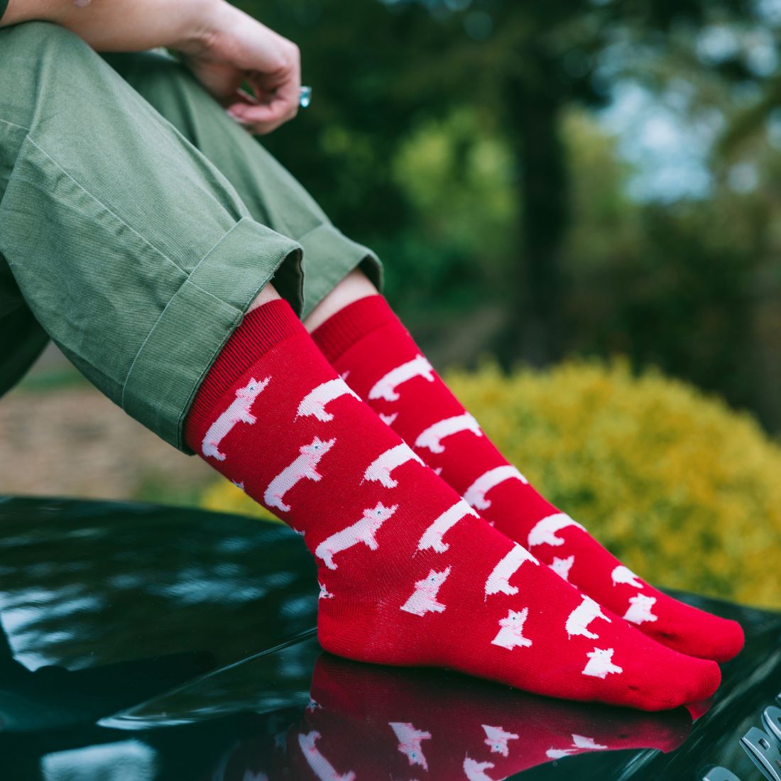 Swole Panda Sustainable Bamboo Socks – Breathable & Seamless Design