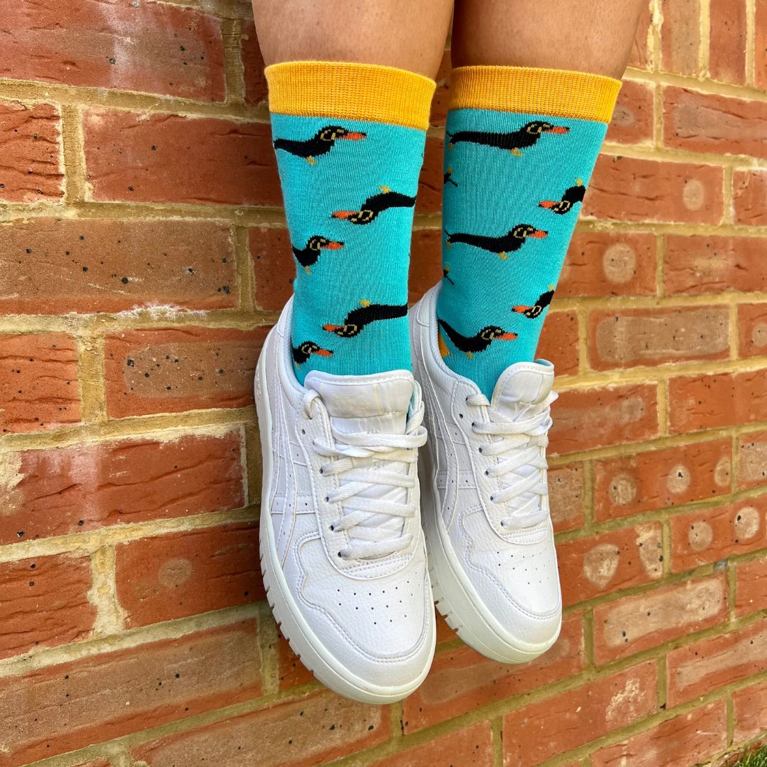 Sausage Dog Bamboo Socks by Swole Panda – Soft & Durable Novelty Socks