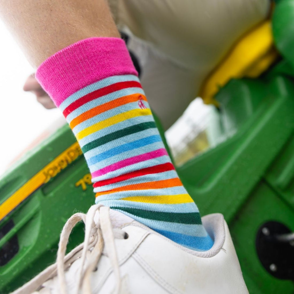 Swole Panda Pastel Striped Bamboo Socks – Soft and Breathable Blend