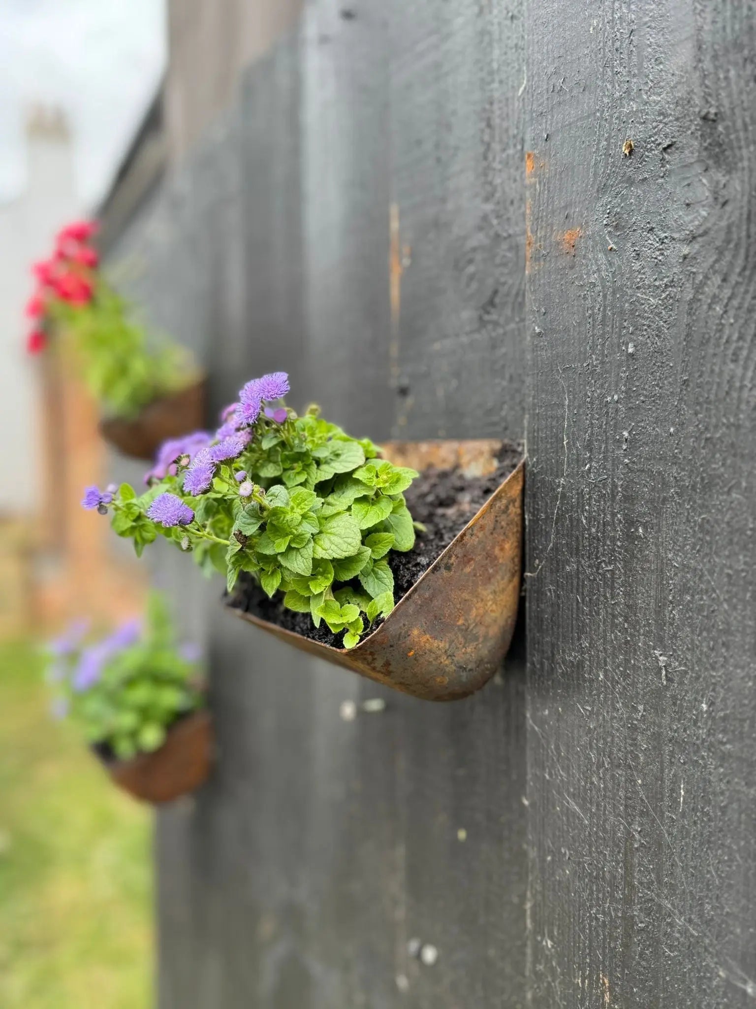 Rustic Warehouse Norfolk | Vintage Metal Wall Mounted Herb Planter