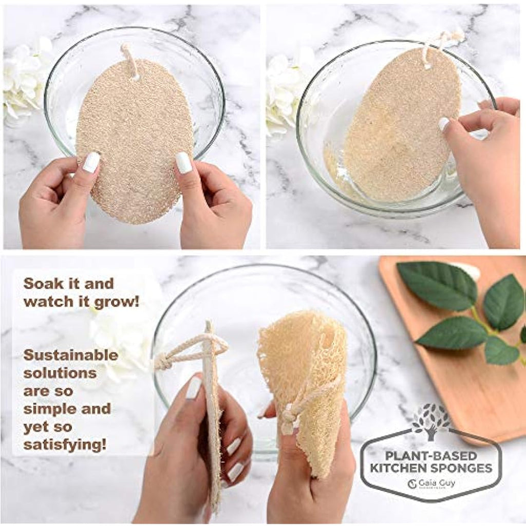 Jolof Store Natural Loofah Dish Sponges – 10 Pack Compostable Scourers