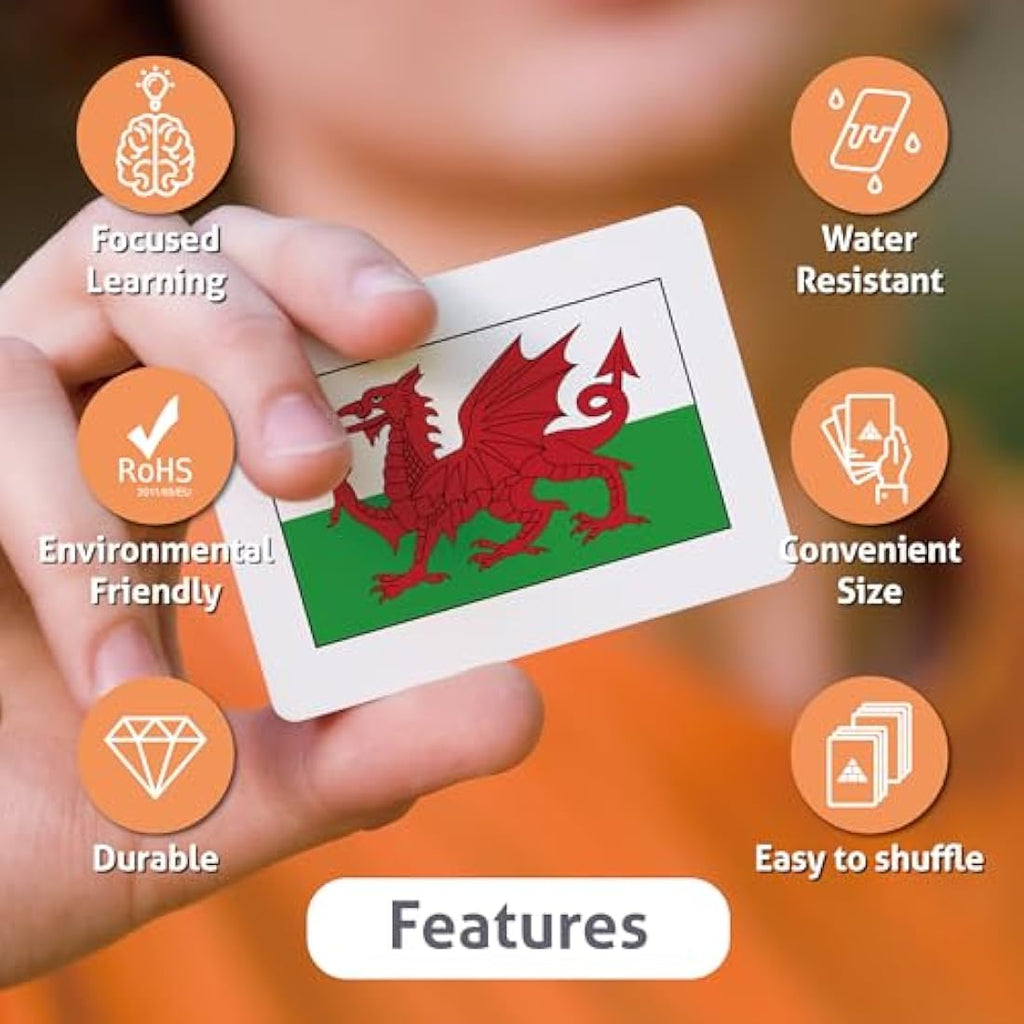 Country Flags Educational Flashcards | Geography Learning Set