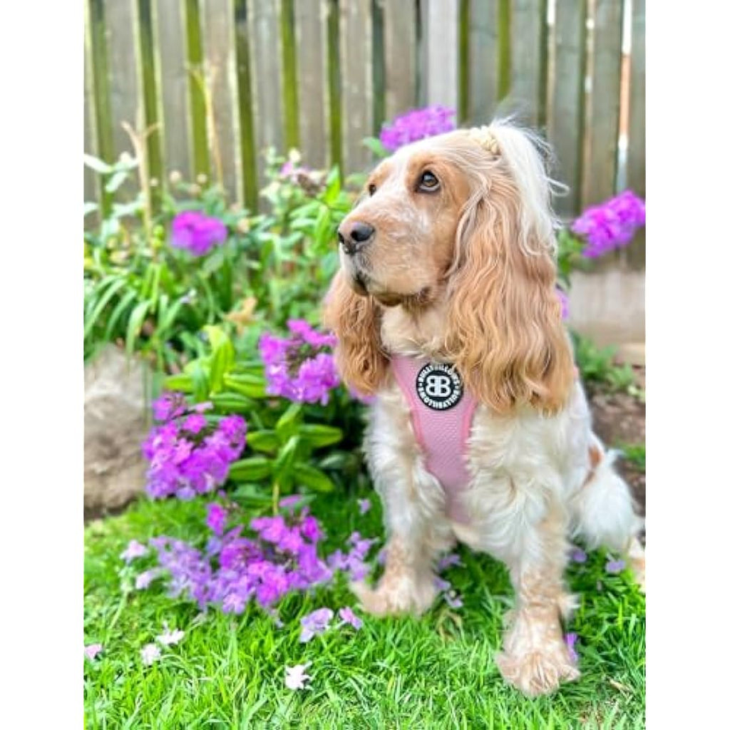BullyBillows Active Light Dog Harness | Padded Reflective Nylon | Pink XL