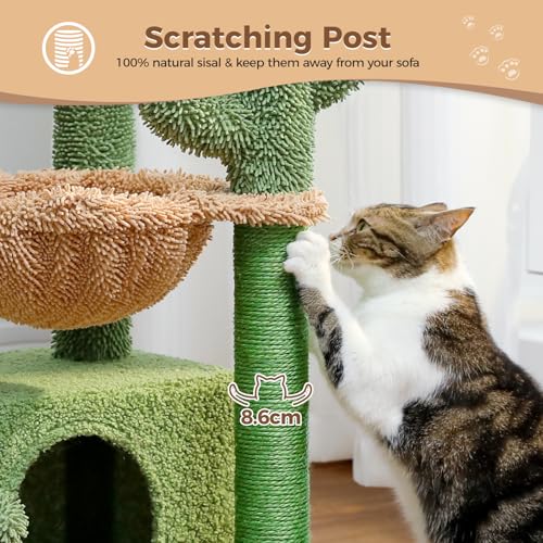 PAWZ Road Cactus Cat Tree with Large Condo and Hammock – 79cm Green