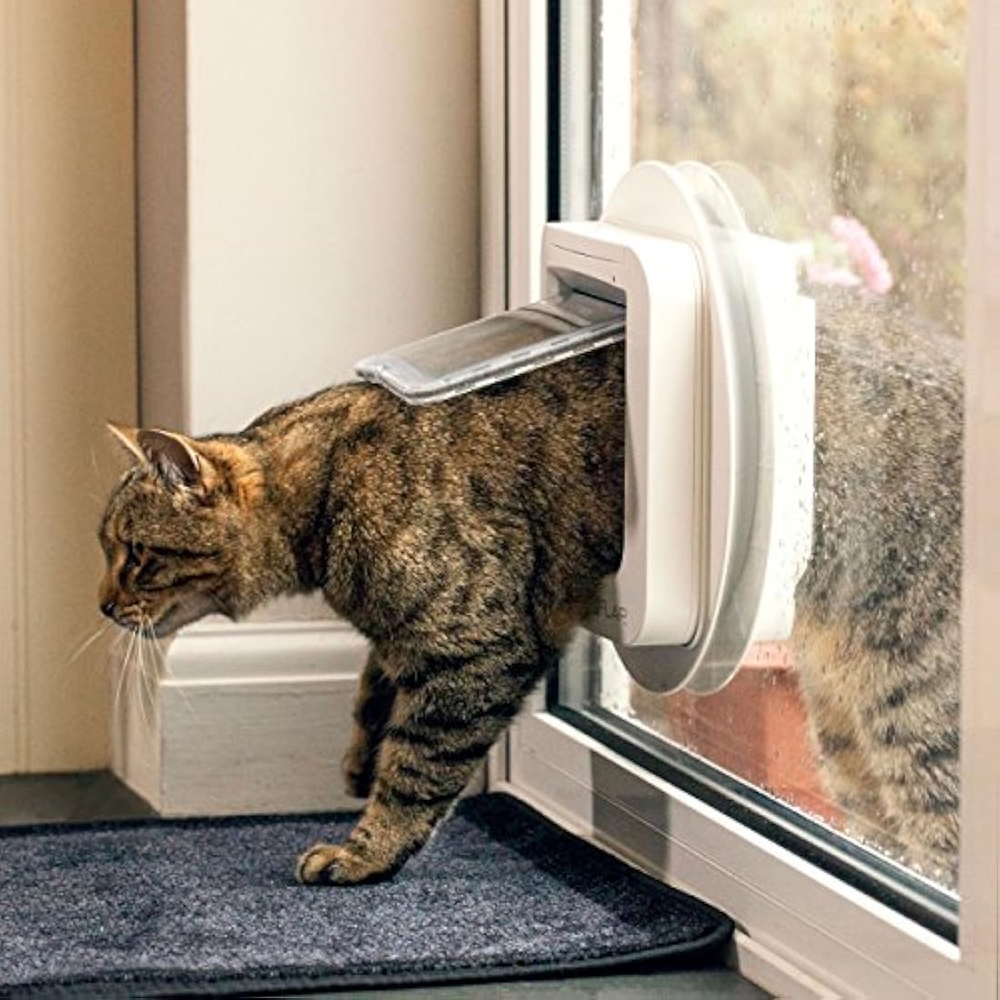 Sure Petcare SureFlap Microchip Cat Flap – RFID Selective Entry, Brown