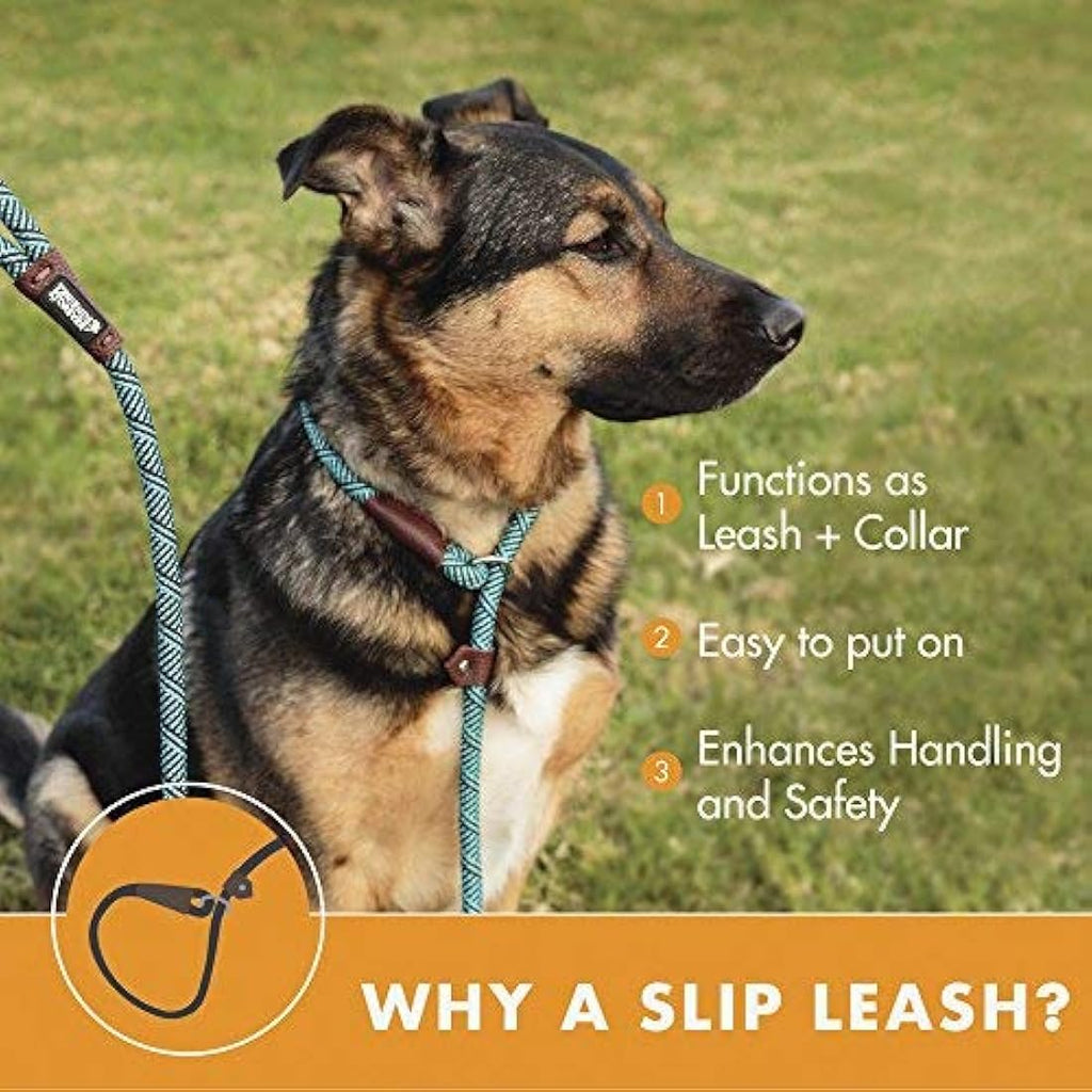 Reflective Dog Rope Leash – Durable Heavy Duty Slip Lead, 6ft