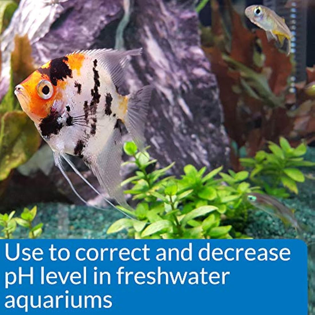 API pH DOWN Freshwater Aquarium Water pH Reducing Solution - 118 ml