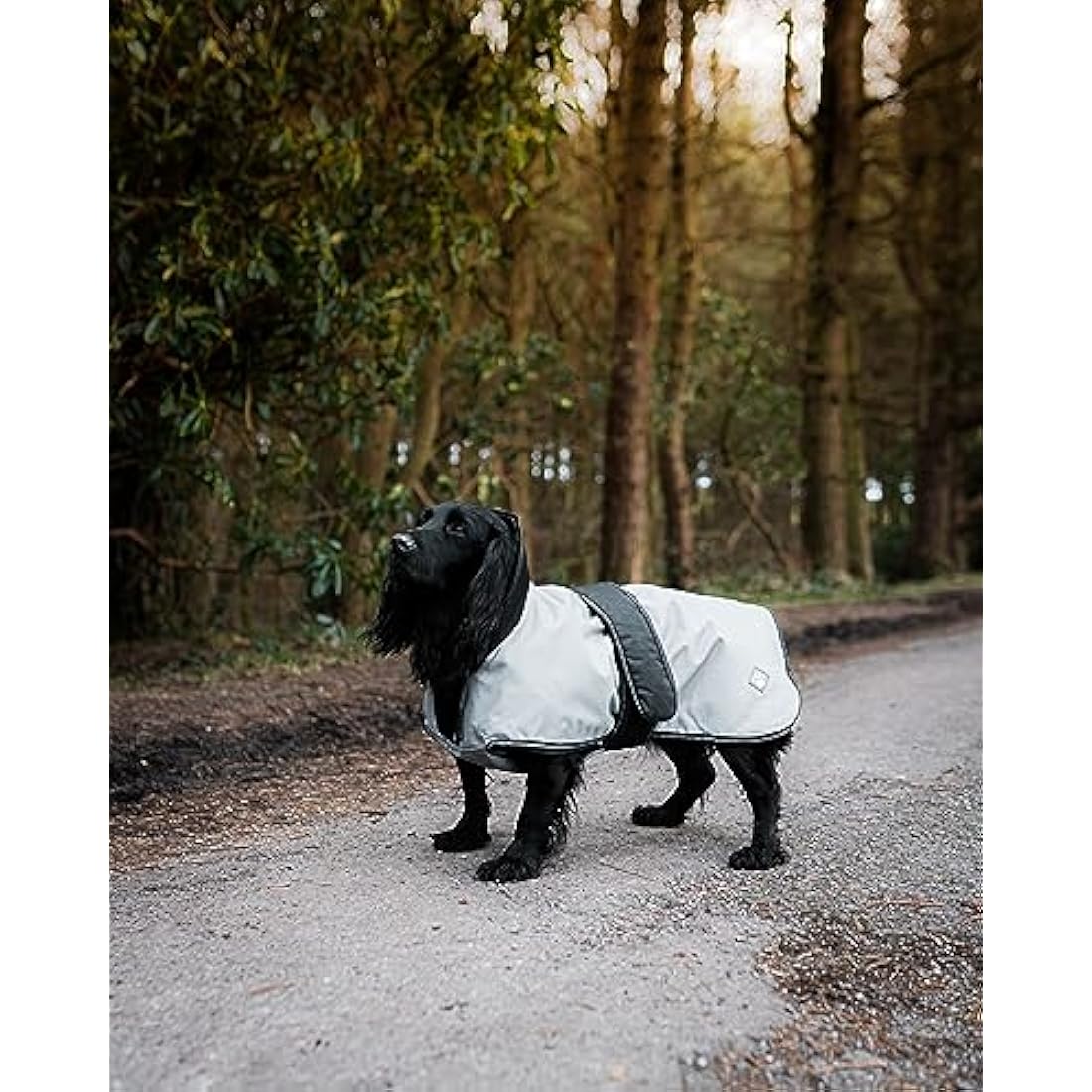 Danish Design 2-in-1 Dog Coat – Grey/Black Reflective Fleece Jacket