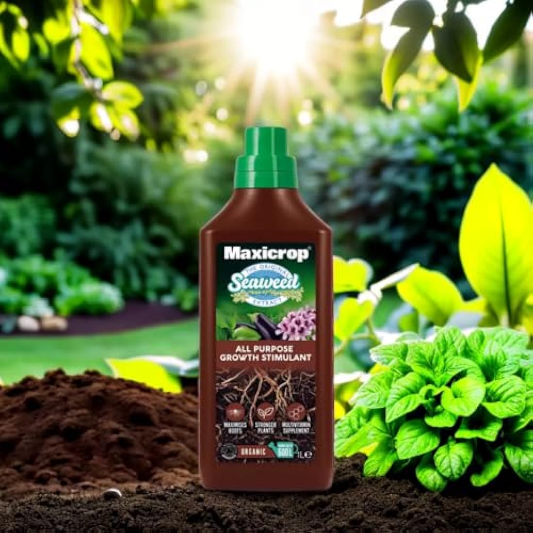 Maxicrop All Purpose Plant Growth Stimulant – 1L Organic Seaweed