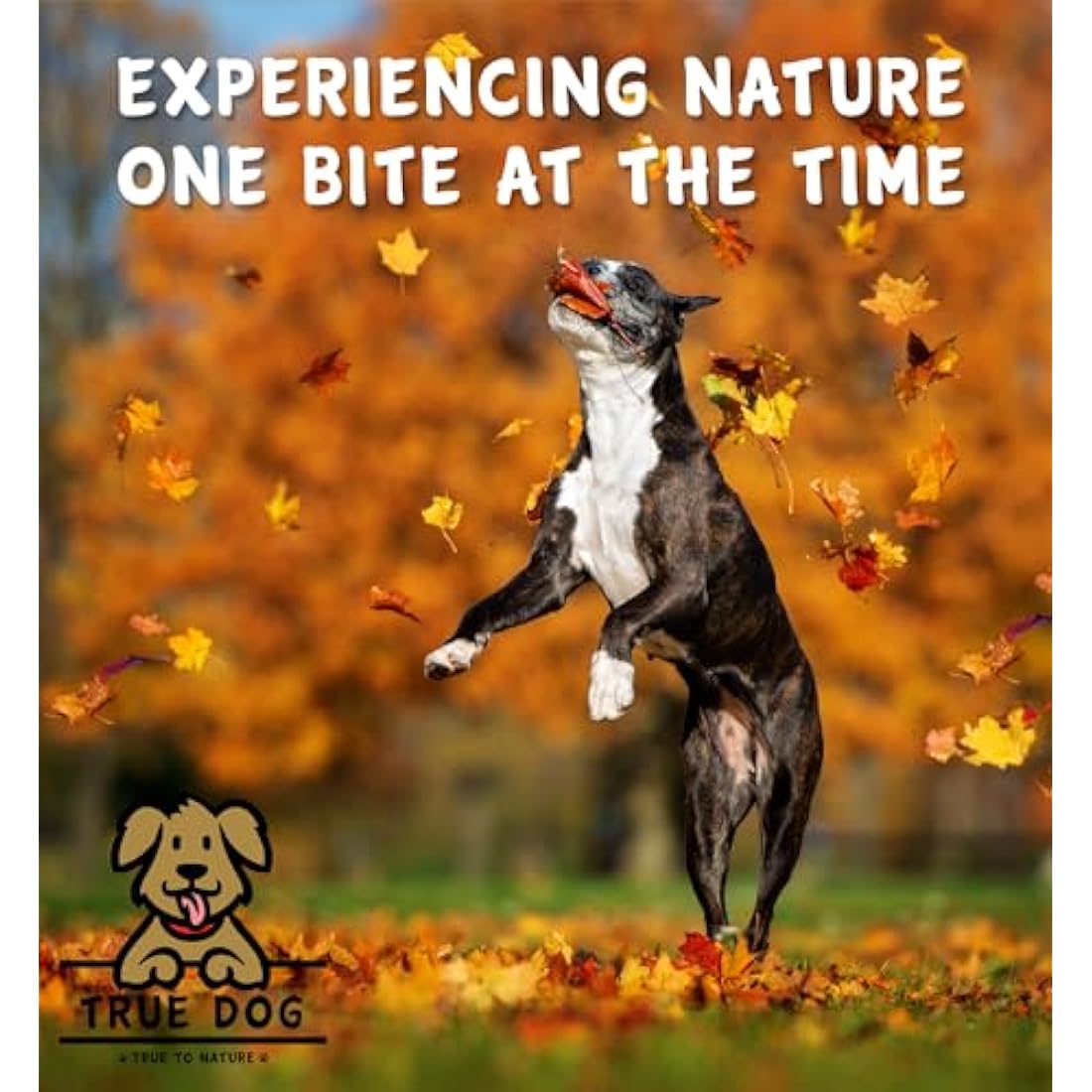 True Dog 100% Pure Scottish Salmon Oil for Dogs & Cats - 5L Bulk