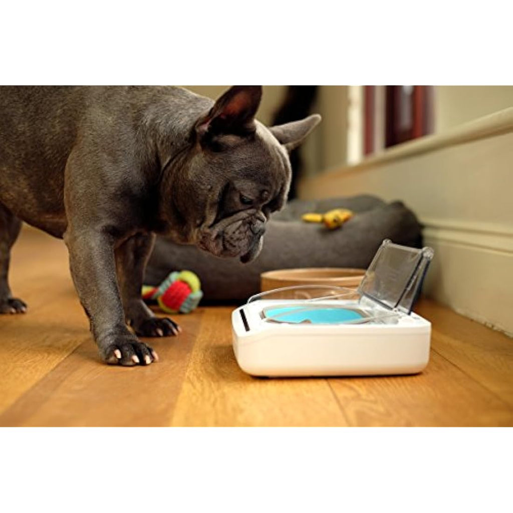 Sure Petcare SureFeed Sealed Pet Bowl – Motion Activated Cat Feeder