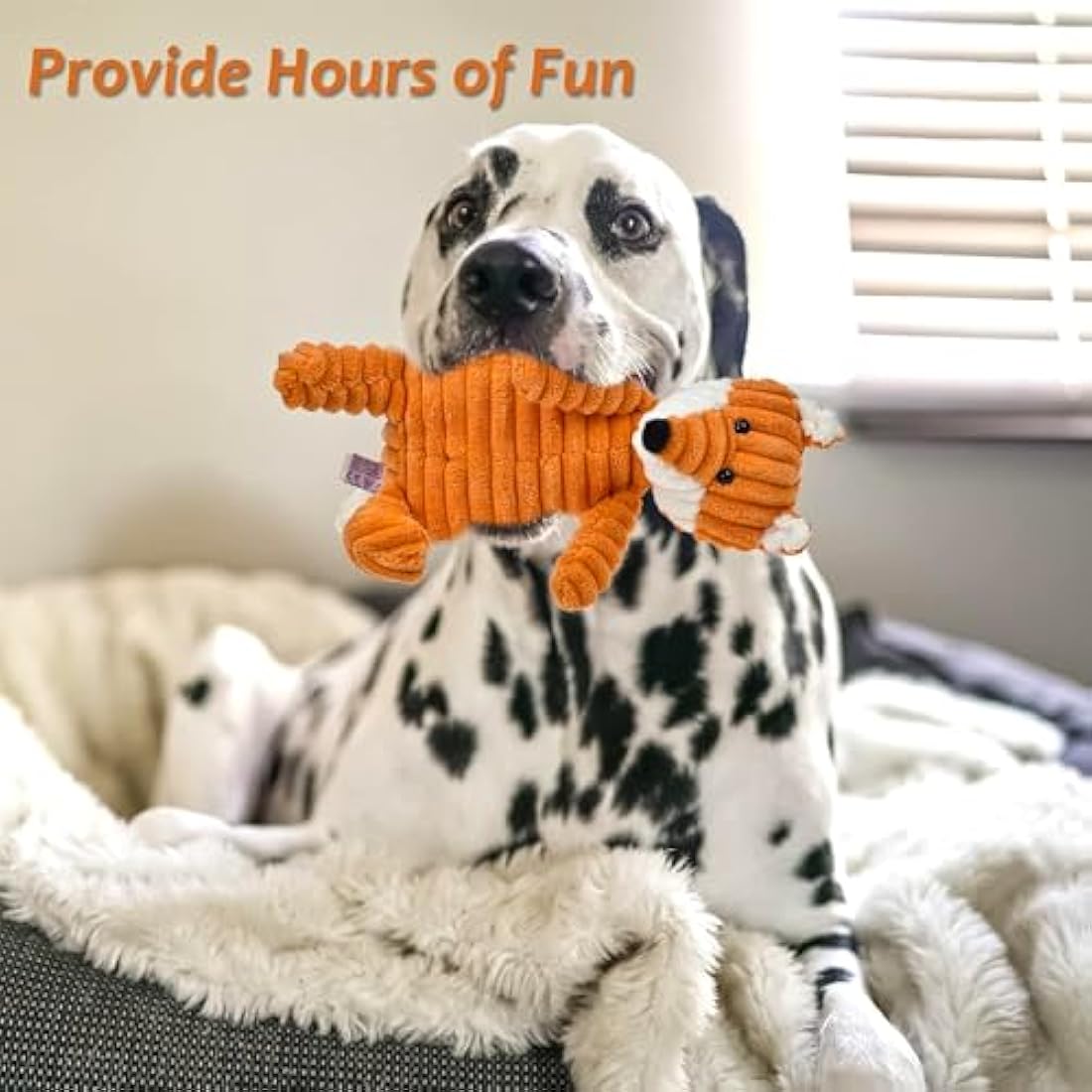5-Pack Squeaky Plush Dog Toys for Aggressive Chewers