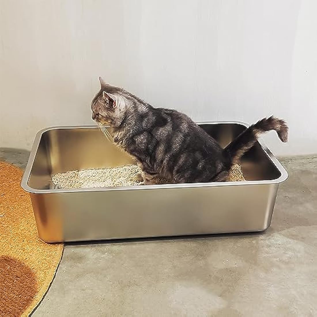 Stainless Steel Cat Litter Box – Large Odorless Metal Tray