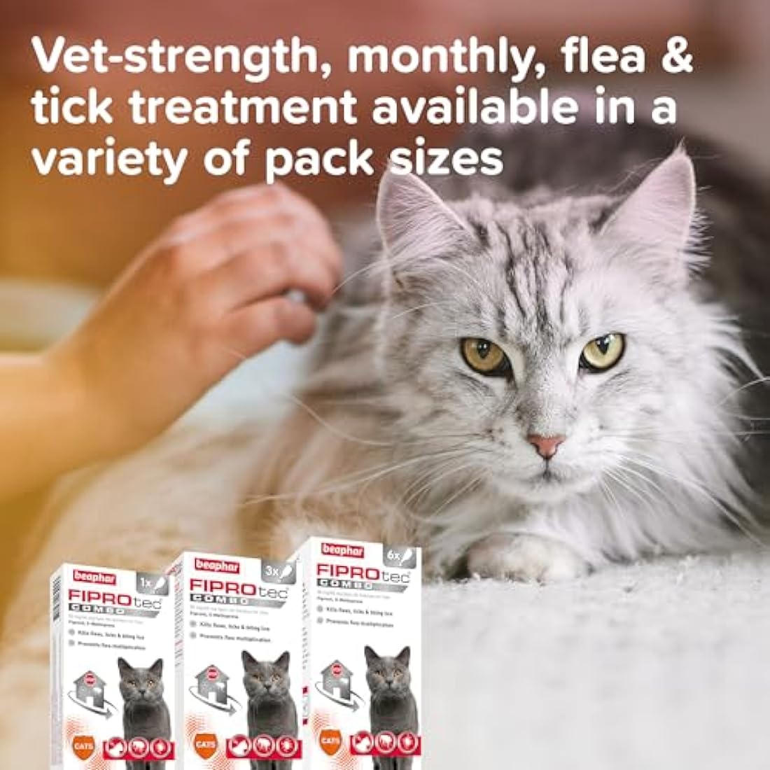 Beaphar FIPROtec COMBO Cat Flea & Tick Treatment - 3 Pipettes
