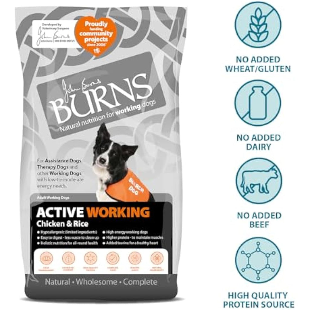 Burns Pet Nutrition Active Dog Food – Hypoallergenic Chicken & Rice 12kg