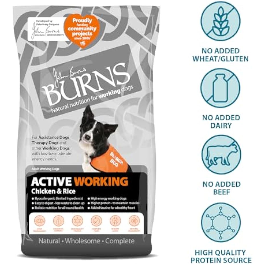 Burns Pet Nutrition Active Dog Food – Hypoallergenic Chicken & Rice 12kg