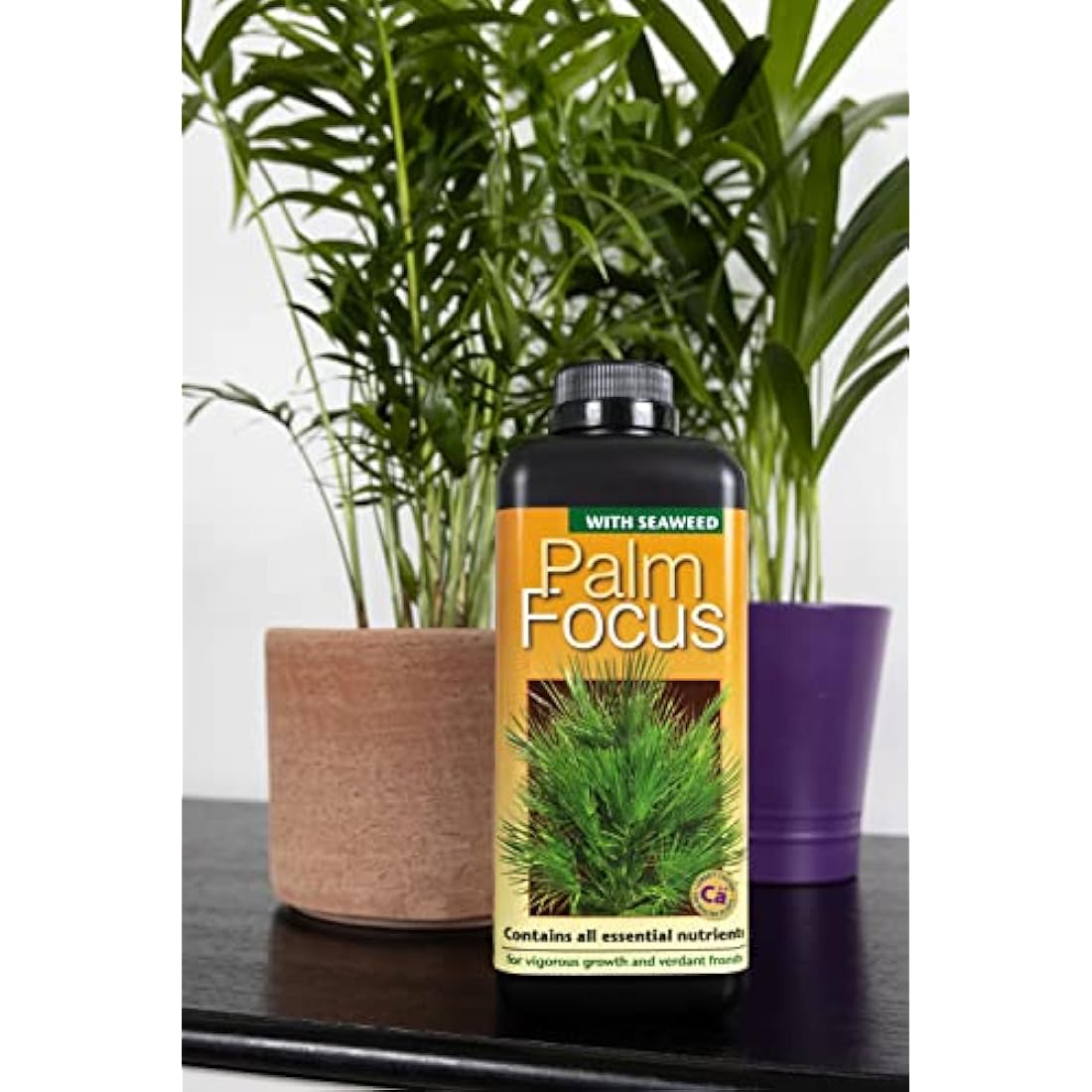 Growth Technology Palm Focus Liquid Fertilizer for Indoor & Outdoor - 1L