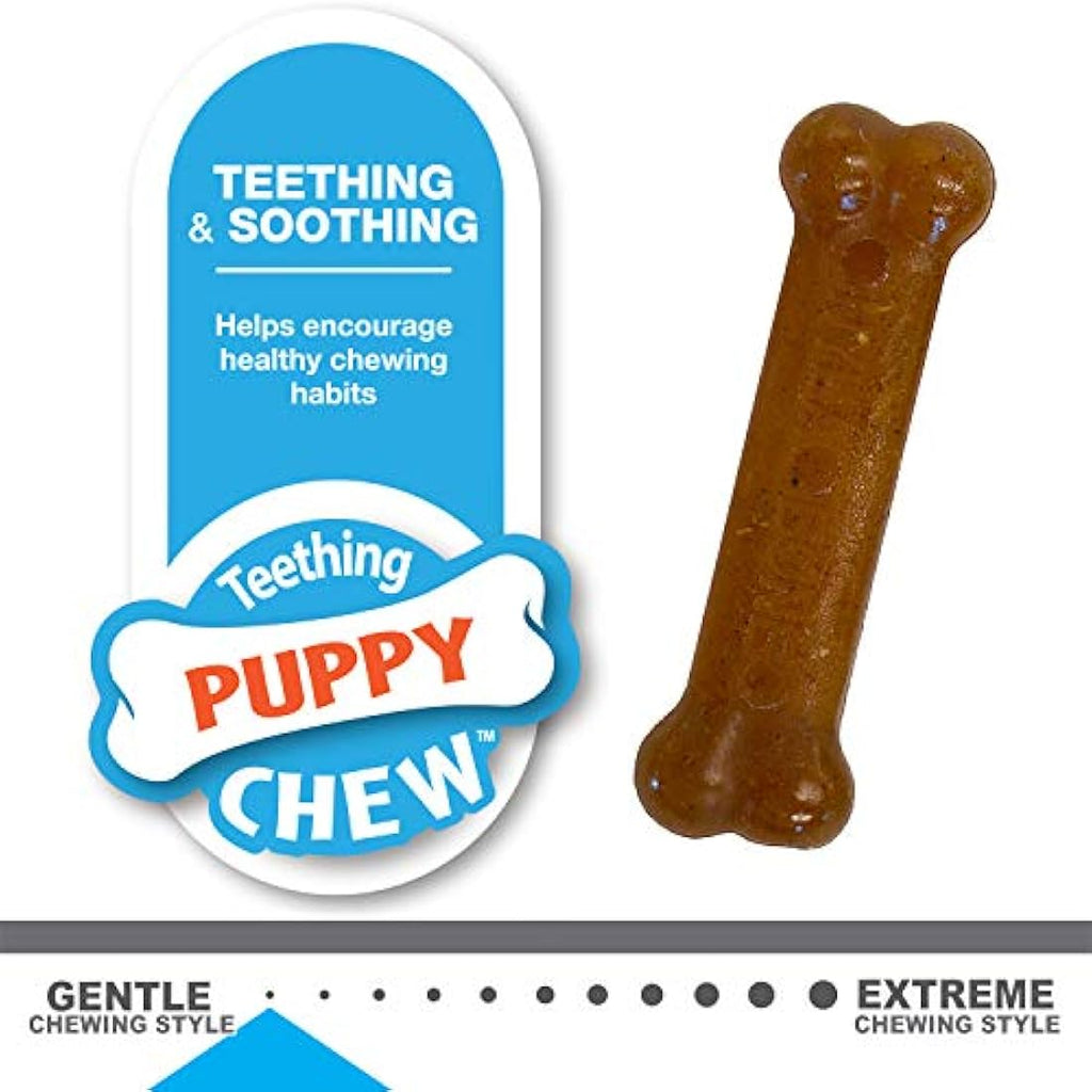 Nylabone Puppy Teething Chew Toy Bones | Chicken & Peanut Butter | 2-Pack