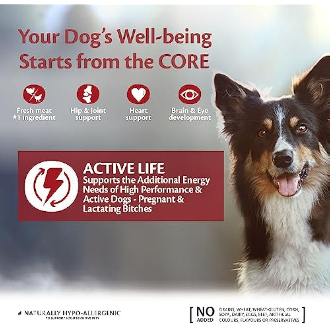 Wellness CORE Grain-Free Active Life Chicken & Turkey Dry Dog Food - 10kg