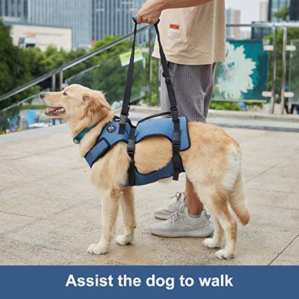 Coodeo Dog Lift Harness | Full Body Support & Recovery Sling for Large Dogs