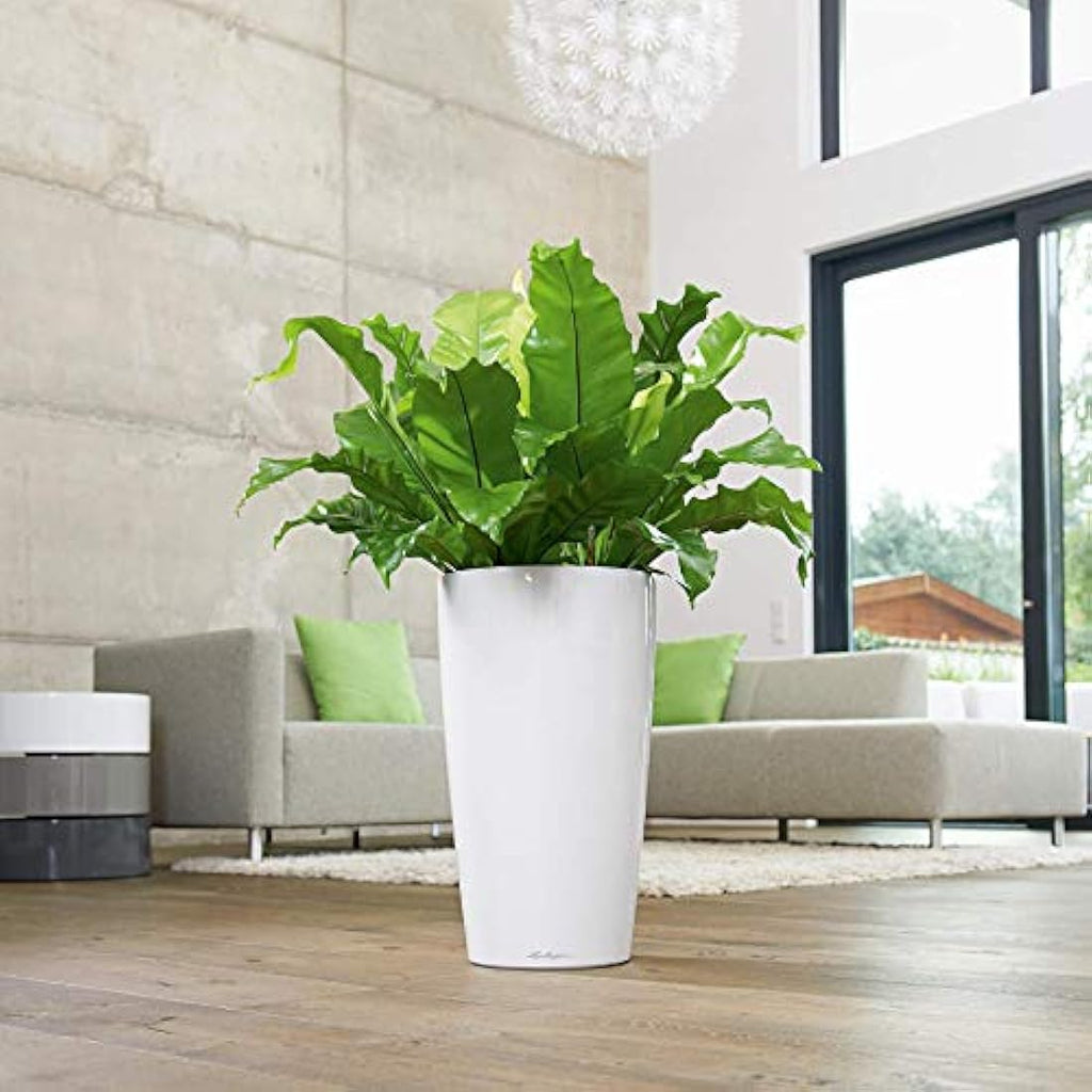 Lechuza RONDO 32 Self-Watering Planter | Black High-Gloss Indoor Pot