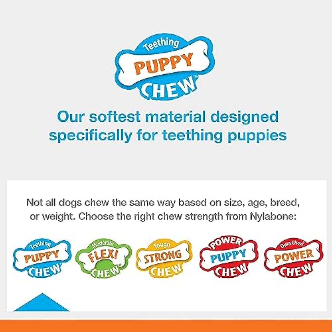 Nylabone Puppy Teething Chew Toy Keys | Bacon Flavour | Extra Small