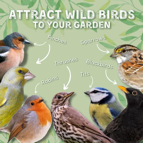 Copdock Mill Wild Bird Food - Peanuts & Sunflower Hearts Mix - 20kg