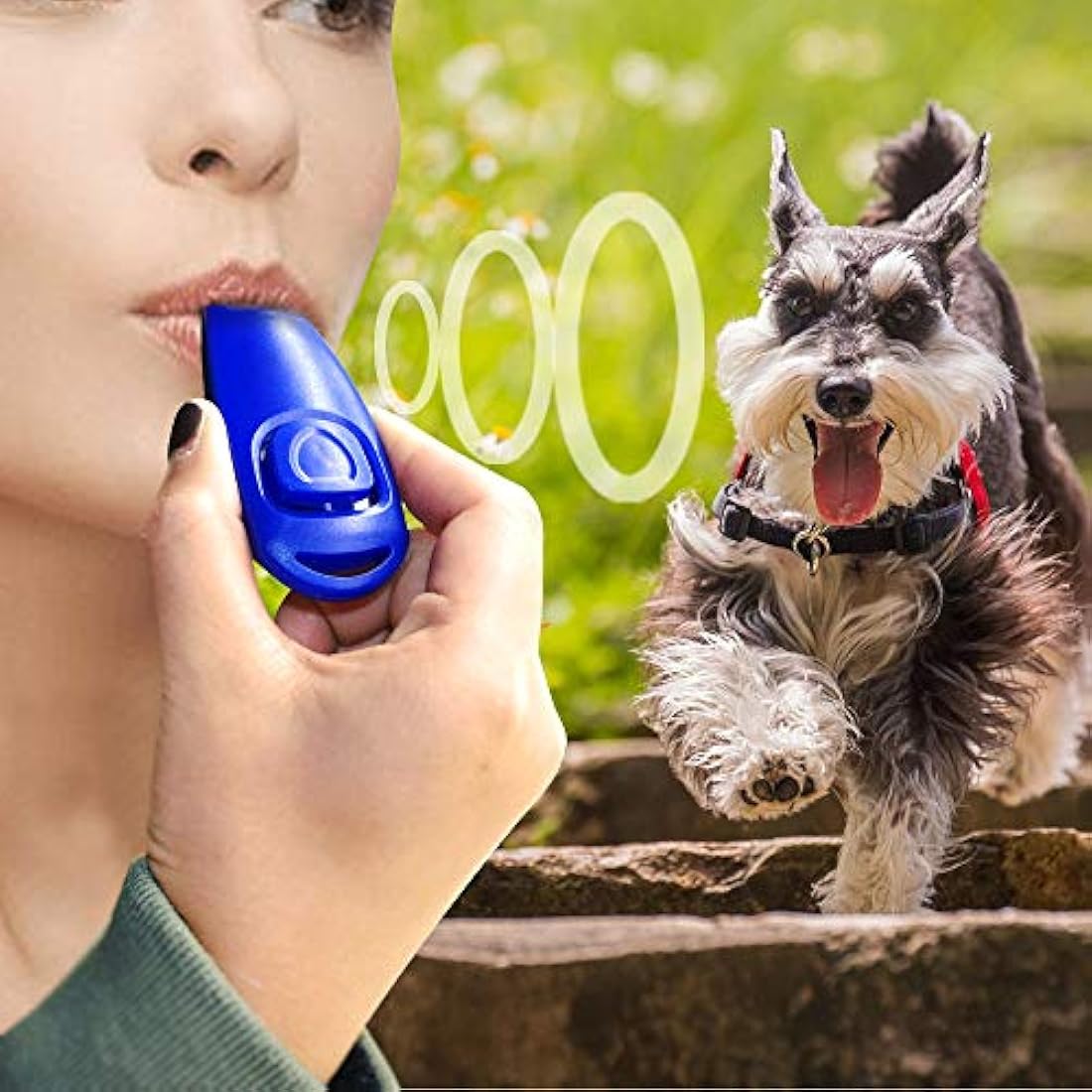Symphonyw 2-in-1 Dog Training Clicker and Whistle with Wrist Strap, 4PCS