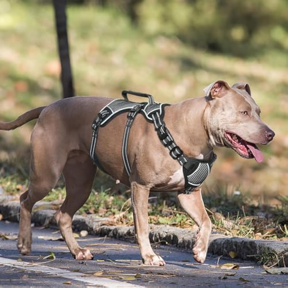 Jolof Store Escape Proof No Pull Dog Harness – Reflective Adjustable Vest