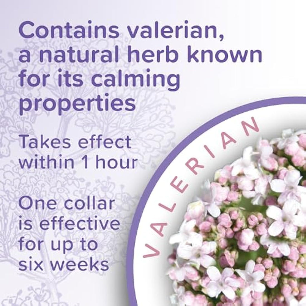 Beaphar Cat Calming Collar – Valerian Stress Relief – 6 Weeks Effect