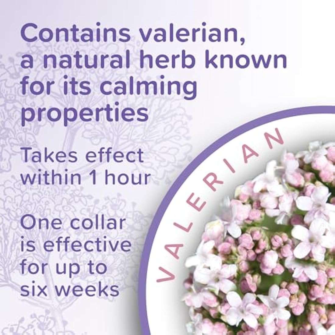 Beaphar Cat Calming Collar – Valerian Stress Relief – 6 Weeks Effect